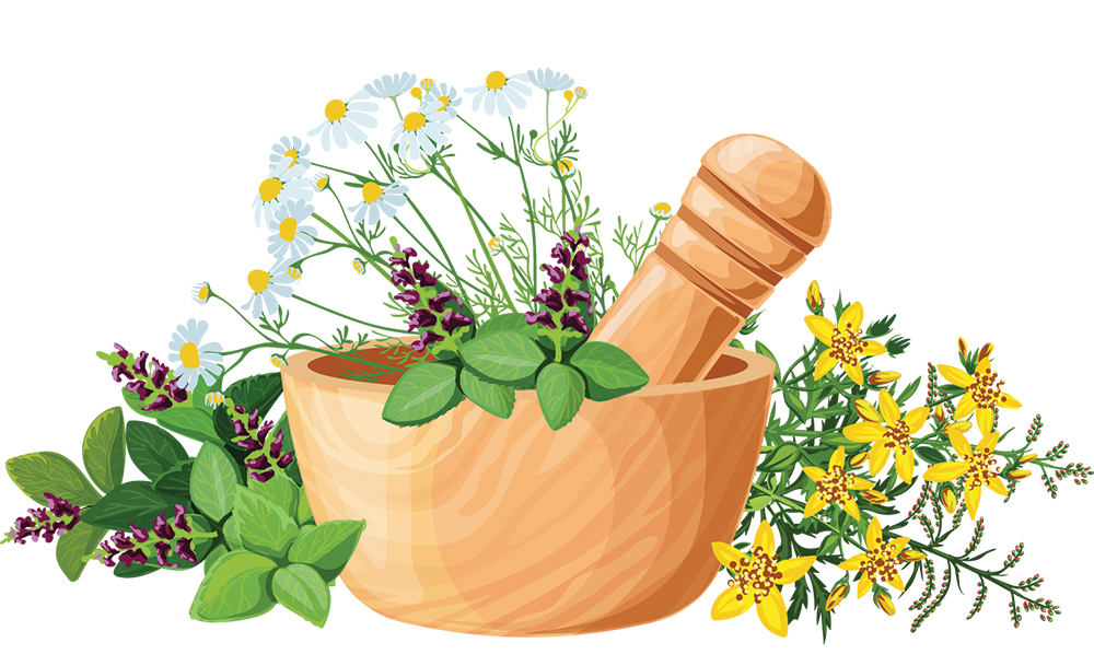 about-herbal-medicine